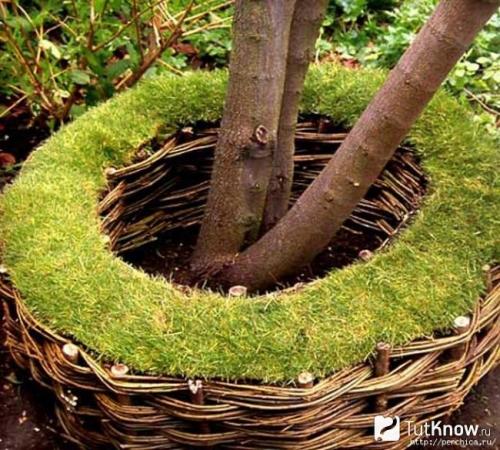 Ограждение для грядок из чего сделать. Заборчик из лозы для грядки своими руками