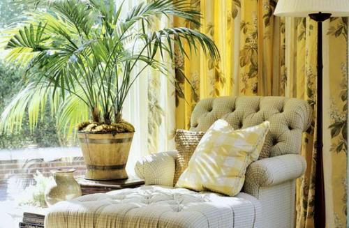 Цветы комнатные в интерьере квартиры. Растения в современном интерьере: композиционные группы 03