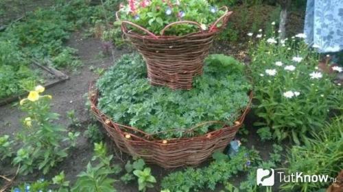 Ограждение для грядок из чего сделать. Заборчик из лозы для грядки своими руками