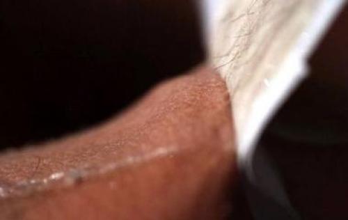 Что должен знать официант об алкоголе. 8 уловок официантов, о которых должен знать каждый