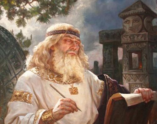 Какие хвойные деревья можно сажать на участке. Почему нельзя сажать хвойные деревья на участке, приметы