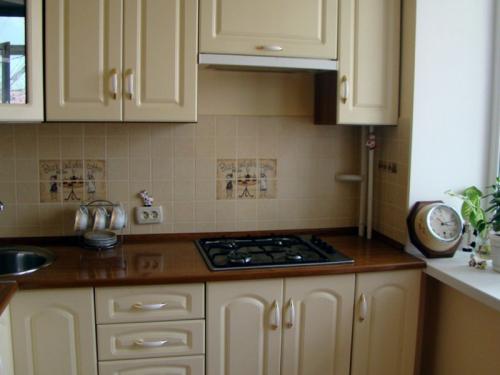 Как обустроить кухню в хрущевке. Как выбрать холодильник, вытяжку и газовую плиту