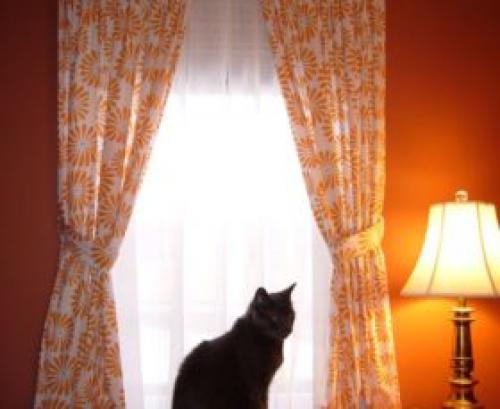 Какие шторы подойдут к светлым обоям и темной мебели. Как правильно выбрать шторы под обоям?