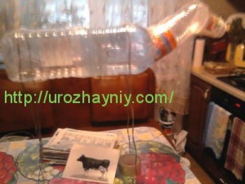 Корова пластиковых из бутылок своими руками. Бычок из пластиковой бутылки. Автор Ольга Короннова