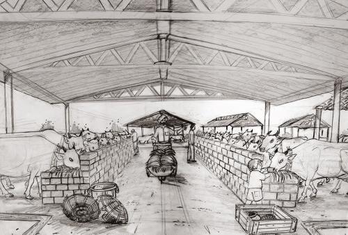 Как сделать макет коровы. Коровы из картона