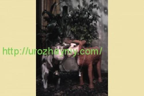 Корова пластиковых из бутылок своими руками. Бычок из пластиковой бутылки. Автор Ольга Короннова