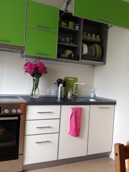 Темно зеленые стены на кухне. Преимущества бело-зеленых тонов на кухне