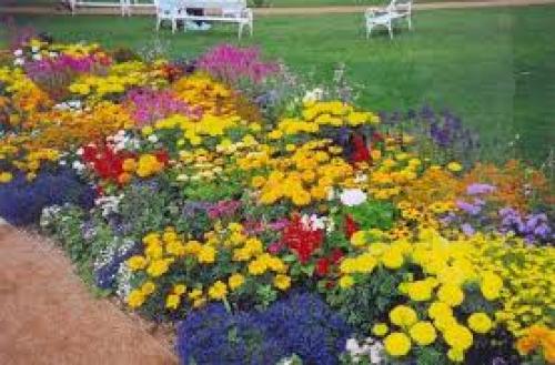 Красивый цветник своими руками возле дома. Как оформить цветник возле дома 08 Красивый цветник своими руками возле дома. Как оформить цветник возле дома 08