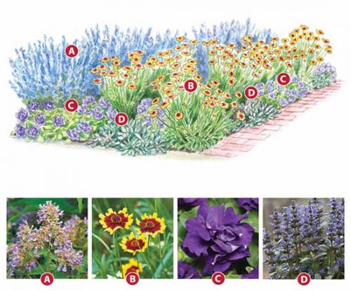 Как сделать грамотный цветник. Как сделать красивую клумбу: 15 схем для цветника