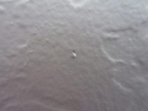 Как подобрать размер картины на стену. Ни больше, ни меньше: секреты правильного декора стен 06