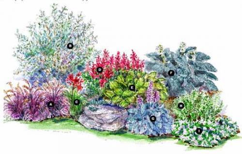 Как сделать грамотный цветник. Как сделать красивую клумбу: 15 схем для цветника