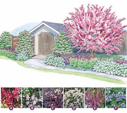 Как сделать грамотный цветник. Как сделать красивую клумбу: 15 схем для цветника