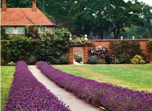 Красивый цветник своими руками возле дома. Как оформить цветник возле дома 02 Красивый цветник своими руками возле дома. Как оформить цветник возле дома 02