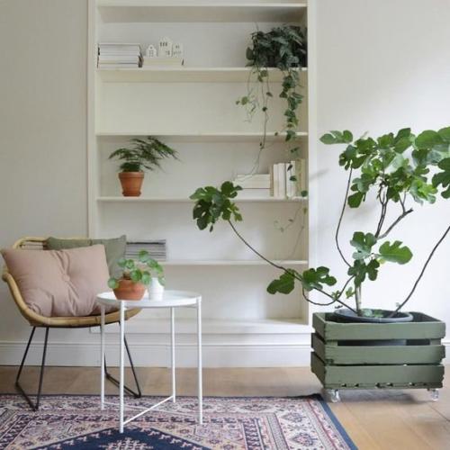 Как съемную квартиру сделать уютной. Как сделать съемную квартиру уютной: 5 советов