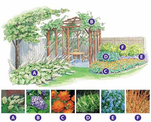 Как сделать грамотный цветник. Как сделать красивую клумбу: 15 схем для цветника