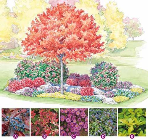 Как сделать грамотный цветник. Как сделать красивую клумбу: 15 схем для цветника