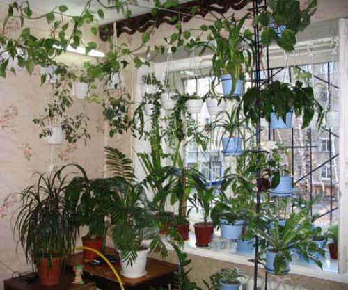 Потеют окна в квартире. Почему потеют пластиковые окна в квартире?