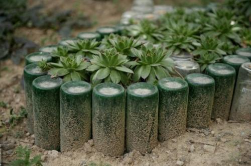 Перегородка из стеклянных бутылок. Нестандартные идеи использования в быту старых стеклянных бутылок