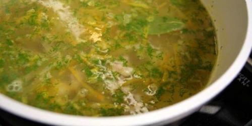 Какую крупу добавляют в рассольник. Как приготовить рассольник с перловкой и солеными огурцами — классический рецепт рассольника из говядины с пошаговыми фото 33 Какую крупу добавляют в рассольник. Как приготовить рассольник с перловкой и солеными огурцами — классический рецепт рассольника из говядины с пошаговыми фото 33