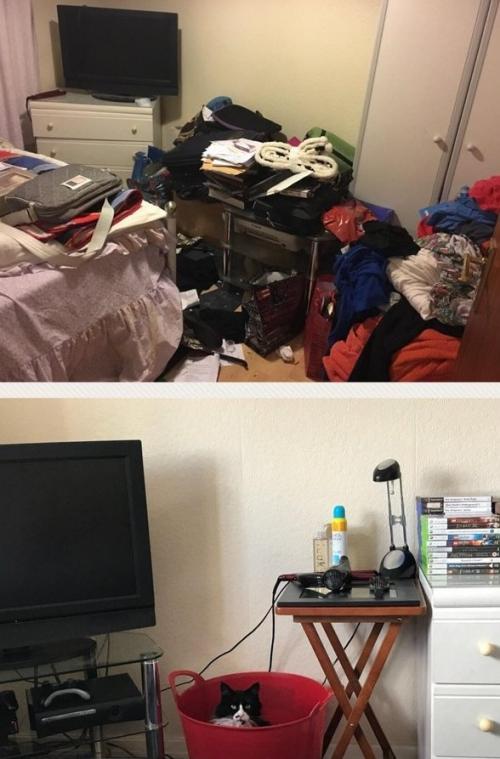 Депрессия в новой квартире. 15 примеров того, что депрессия делает с жилищами людей и как они меняются после уборки