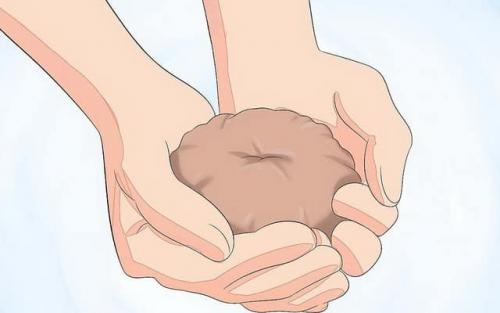 Как вырастить тюльпаны из луковиц дома. Цветущие тюльпаны круглый год. Секрет, как вырастить тюльпаны дома без использования земли 31