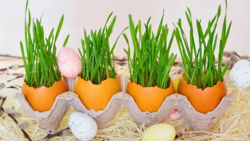 Предметы декора своими руками. Из чего можно сделать своими руками