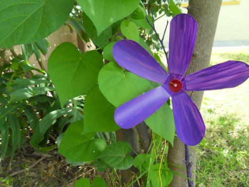 Ветряк из пластиковой бутылки. Простая вертушка из пластиковой бутылки