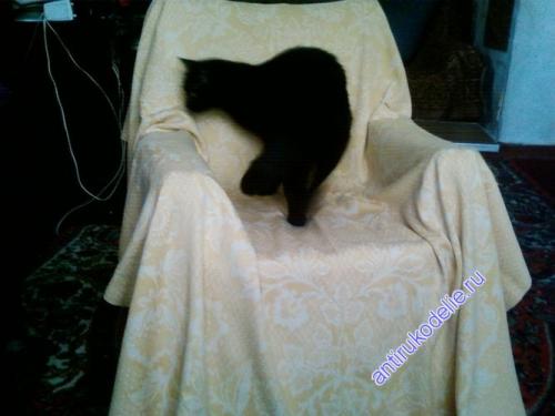 Кресло из пластиковых бутылок. 