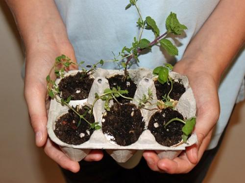 Что сделать из коробки из под яиц. Оригинальные поделки, которые можно смастерить из обычных картонок для яиц 22 Что сделать из коробки из под яиц. Оригинальные поделки, которые можно смастерить из обычных картонок для яиц 22