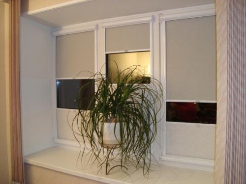 Для чего нужны рулонные шторы. Краткое руководство по выбору рольштор