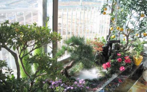 Как обустроить балкон. Красивый балкон своими руками.