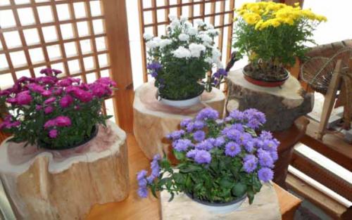 Как обустроить балкон. Красивый балкон своими руками.