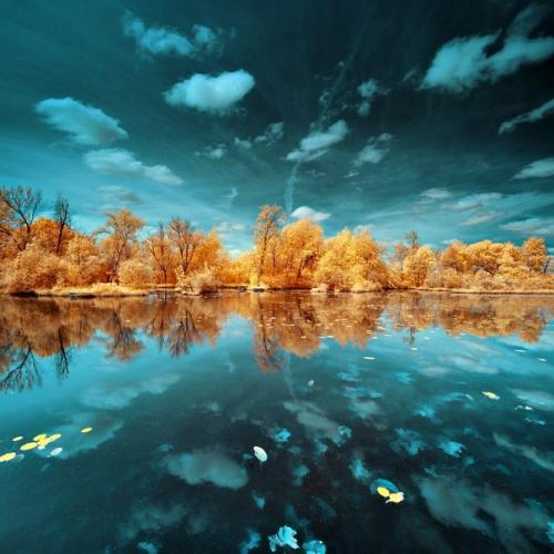 Сетка золотого сечения. Композиция в фотографии. Часть 2: Золотое сечение