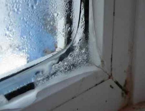 Потеет стеклопакет внутри помещения. Потеет стеклопакет внутри