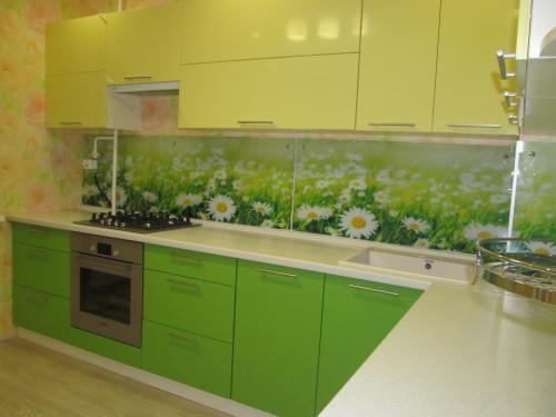 Обои для кухни под зеленый гарнитур. Где рекомендовано использовать цвет
