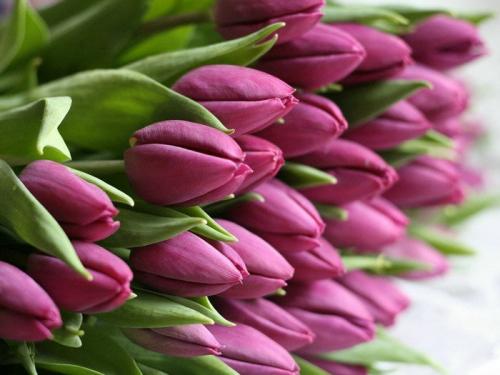 Сочетание розового и синего. Можно ли сочетать розовый и зеленый? Ищем ответ в образах модных блогеров