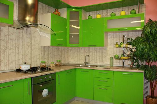 Обои для кухни под зеленый гарнитур. Где рекомендовано использовать цвет