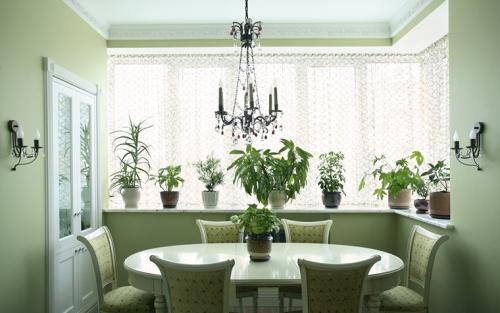 Обои для кухни под зеленый гарнитур. Где рекомендовано использовать цвет