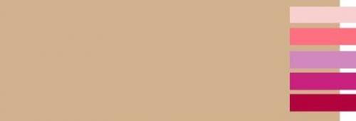 Сочетание бежевого и розового. С какими цветами сочетается бежевый?