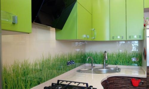 Обои для кухни под зеленый гарнитур. Где рекомендовано использовать цвет