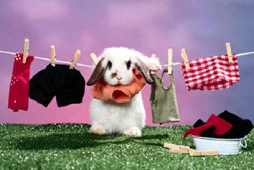 Где лучше сушить белье. Где сушить бельё? Лучший вариант