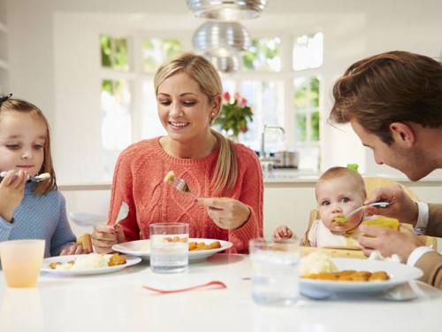 Правила этикета за столом для детей. Как Коксик и Шуня учились правилам поведения за столом