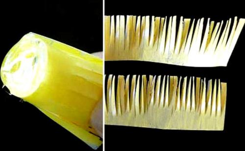 Поделки цветы из пластиковых бутылок. 7 способов научиться делать цветы из пластиковых бутылок своими руками