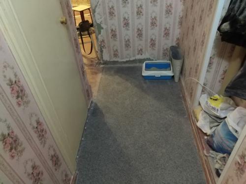 Ремонт в прихожей идеи. Бюджетный ремонт в прихожей [5 хитрых приемов]