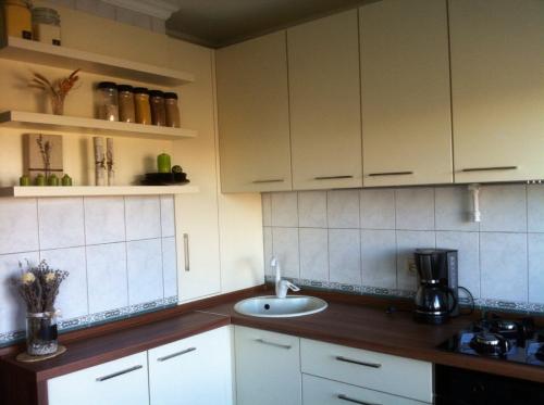 Какого цвета выбрать мойку на кухню. Как выбрать мойку для кухни в 5 простых шагов