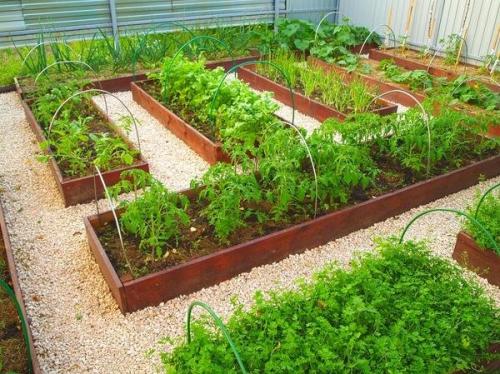 Бордюры для грядок своими руками. Из чего сделать бордюры для грядок: самые оптимальные варианты