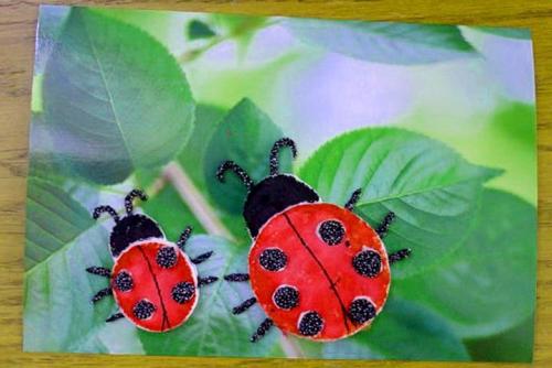 Поделки из ватных палочек. Детские поделки из ватных дисков своими руками