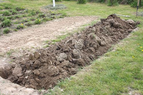 Бордюр для грядок своими руками. Бордюр из дерева — всё в ваших силах 02