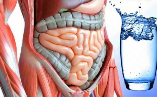 Для чего нужно пить воду по утрам натощак. Польза воды по утрам: 9 причин, почему полезно пить воду натощак