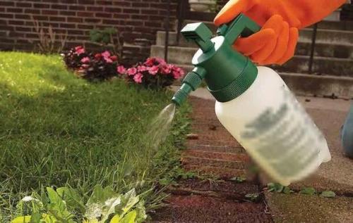 Что можно мыть белизной. Белизна: необычные и интересные способы использования